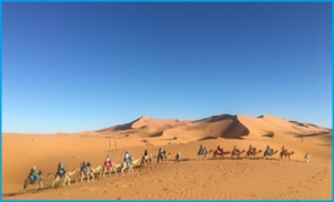 tours from Marrakech to desert tours from Marrakech to desert