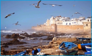 day trips from marrakech ,Fes excursions day trips from marrakech ,Fes excursions