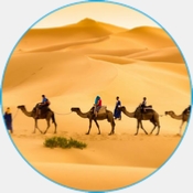 Sahara Morocco Trips Sahara Morocco Trips